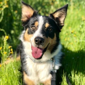 Meet your Posher, Chris